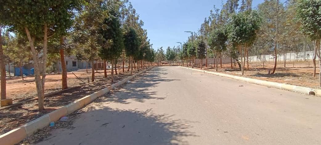 Entry avenue at Astro Boulevards